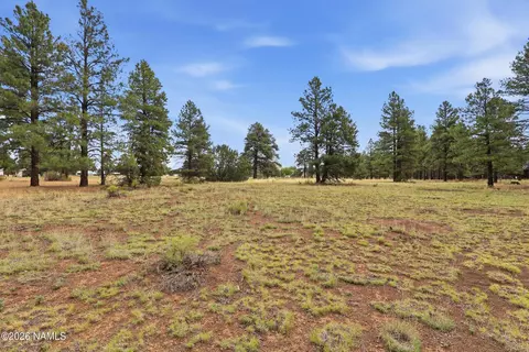 6314 E Burris Ln, Flagstaff, AZ 86004 photo 9