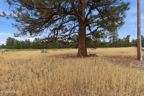 6314 E Burris Ln, Flagstaff, AZ 86004 photo 3