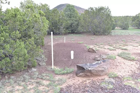 304 E Black Feather Rd, Williams, AZ 86046 photo 3