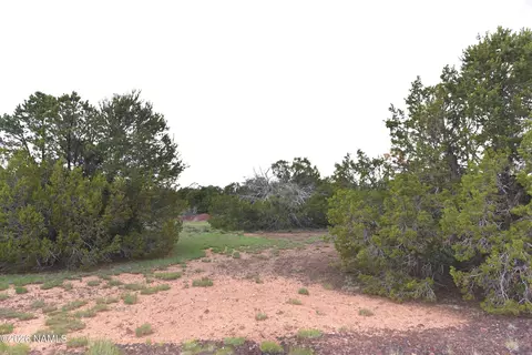 304 E Black Feather Rd, Williams, AZ 86046 photo 9