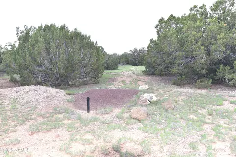 304 E Black Feather Rd, Williams, AZ 86046 photo 4