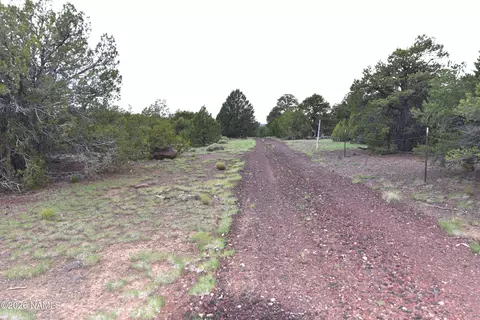 304 E Black Feather Rd, Williams, AZ 86046 photo 6