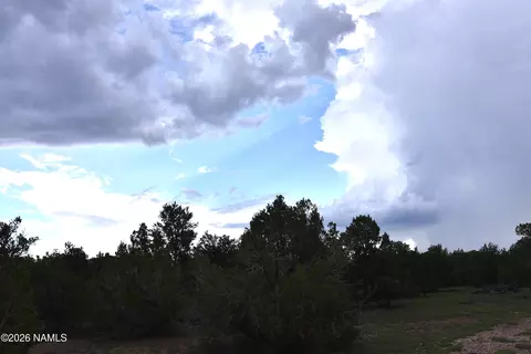 304 E Black Feather Rd, Williams, AZ 86046 photo 10