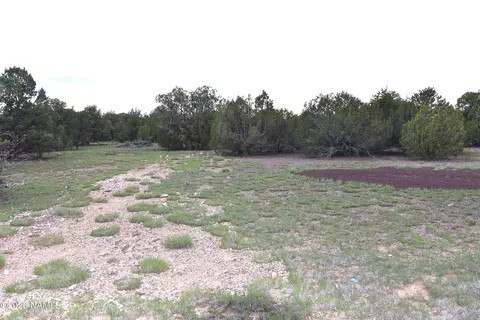 304 E Black Feather Rd, Williams, AZ 86046 photo 7