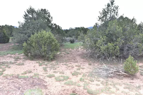 304 E Black Feather Rd, Williams, AZ 86046 photo 8