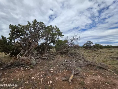 2097 Watchtower Pass, Williams, AZ 86046 photo 29
