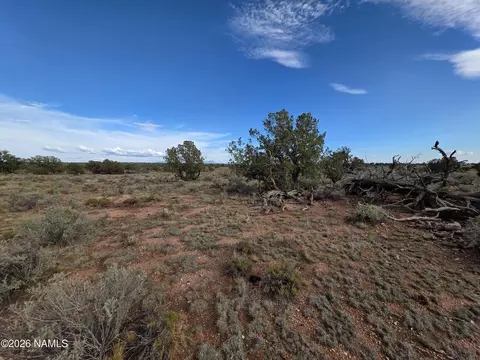 2097 Watchtower Pass, Williams, AZ 86046 photo 26