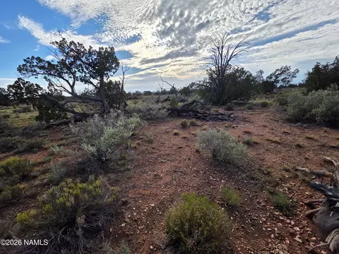 2097 Watchtower Pass, Williams, AZ 86046 photo 6