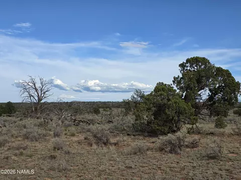 2097 Watchtower Pass, Williams, AZ 86046 photo 9