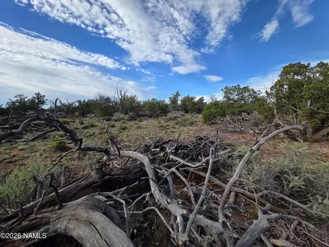 2097 Watchtower Pass, Williams, AZ 86046 photo 16