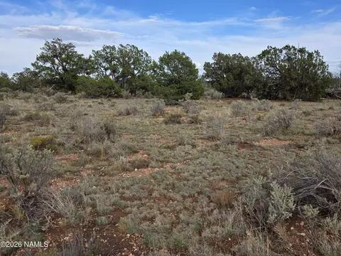 2097 Watchtower Pass, Williams, AZ 86046 photo 25