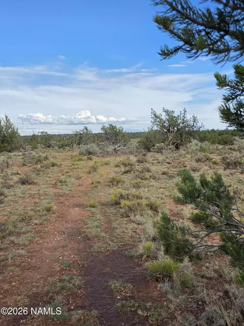 2097 Watchtower Pass, Williams, AZ 86046 photo 22