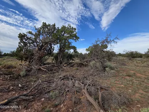 2097 Watchtower Pass, Williams, AZ 86046 photo 27