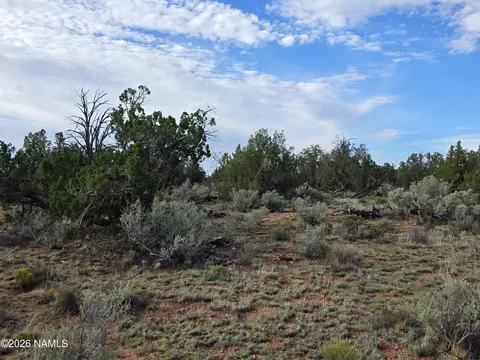 2097 Watchtower Pass, Williams, AZ 86046 photo 20