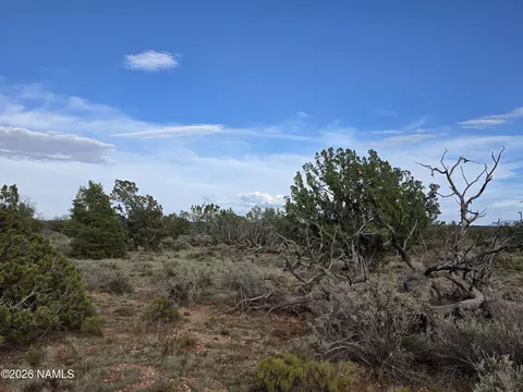 2097 Watchtower Pass, Williams, AZ 86046 photo 15