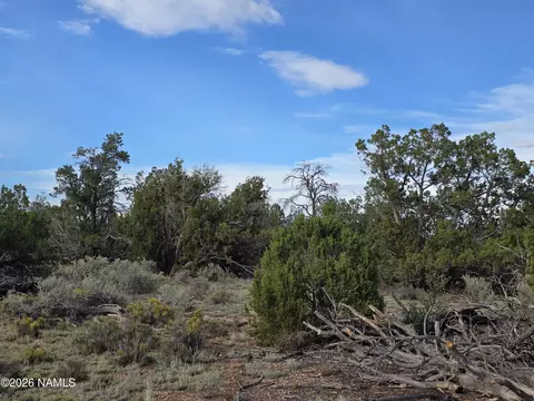 2097 Watchtower Pass, Williams, AZ 86046 photo 14