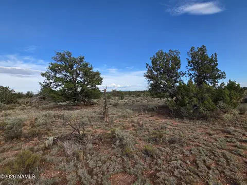 2097 Watchtower Pass, Williams, AZ 86046 photo 24