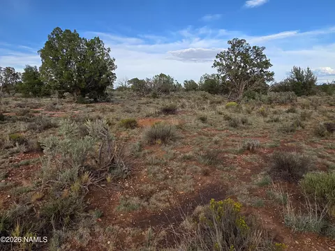 2097 Watchtower Pass, Williams, AZ 86046 photo 17