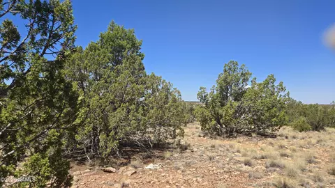 3711 E Wingfield Rd, Williams, AZ 86046 photo 16