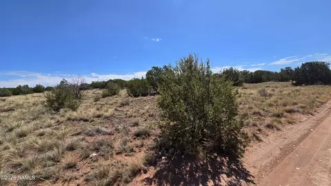 3711 E Wingfield Rd, Williams, AZ 86046 photo 11