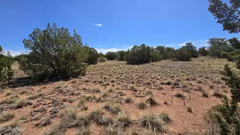 3711 E Wingfield Rd, Williams, AZ 86046 photo 12