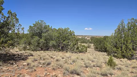 3711 E Wingfield Rd, Williams, AZ 86046 photo 18