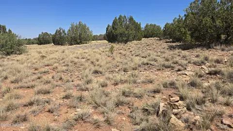 3711 E Wingfield Rd, Williams, AZ 86046 photo 8