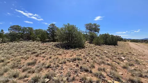 3711 E Wingfield Rd, Williams, AZ 86046 photo 7