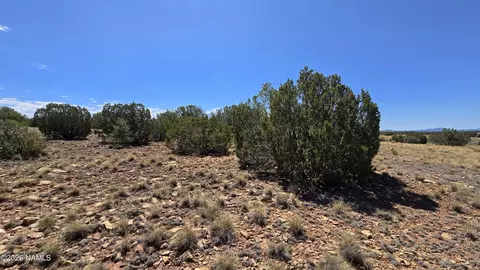 3711 E Wingfield Rd, Williams, AZ 86046 photo 14