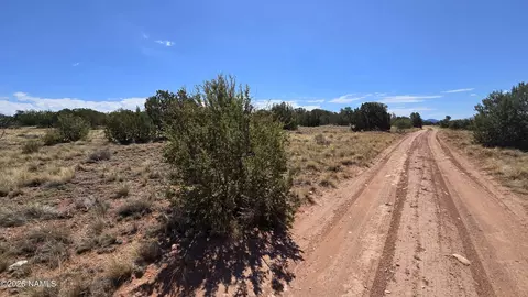 3711 E Wingfield Rd, Williams, AZ 86046 photo 9