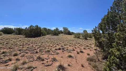 3711 E Wingfield Rd, Williams, AZ 86046 photo 13