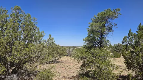 3711 E Wingfield Rd, Williams, AZ 86046 photo 2