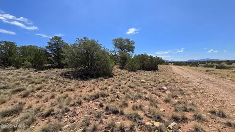 3711 E Wingfield Rd, Williams, AZ 86046 photo 5