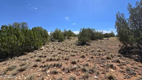 3711 E Wingfield Rd, Williams, AZ 86046 photo 17