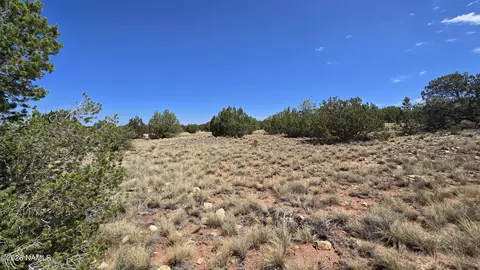 3711 E Wingfield Rd, Williams, AZ 86046 photo 4