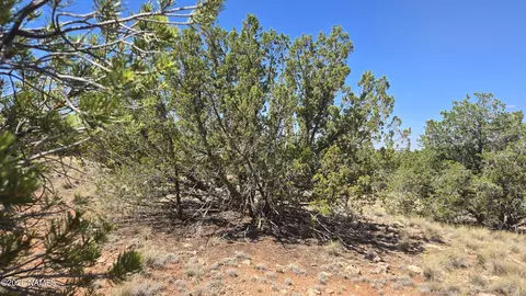 3711 E Wingfield Rd, Williams, AZ 86046 photo 19