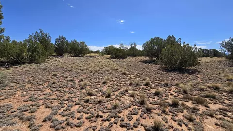 3711 E Wingfield Rd, Williams, AZ 86046 photo 10