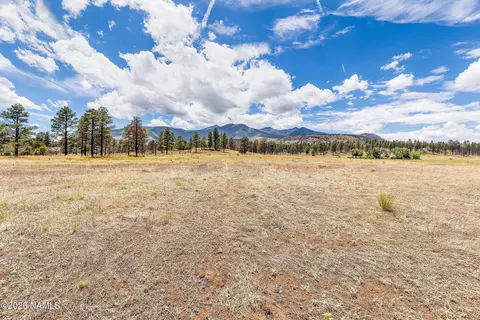 5340 E Pumpkin Patch Rd, Flagstaff, AZ 86004 photo 3