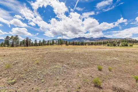 5340 E Pumpkin Patch Rd, Flagstaff, AZ 86004 photo 4