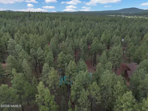 View/Area - 7329 E Long Bow Dr, Williams, AZ 86046 photo 6 of 6
