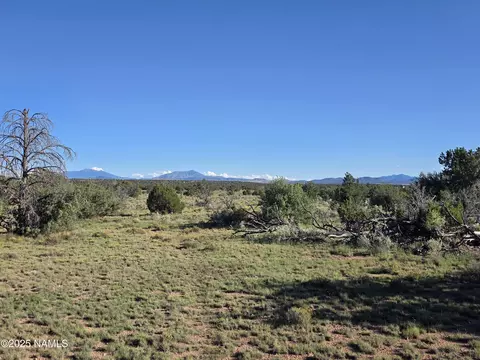 10072 Red Butte Rd #LOT B, Williams, AZ 86046