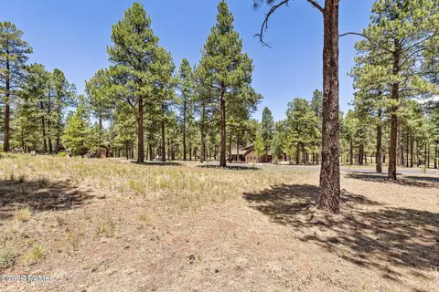 1939 E Bare Oak Loop #238, Flagstaff, AZ 86005 photo 11