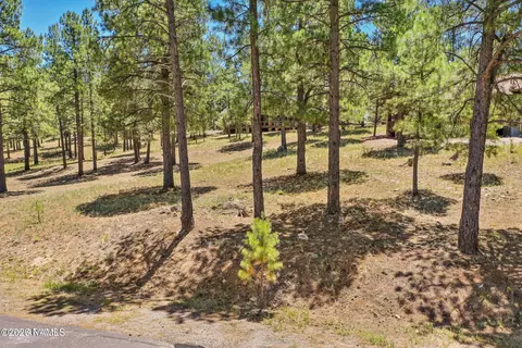 1939 E Bare Oak Loop #238, Flagstaff, AZ 86005 photo 6