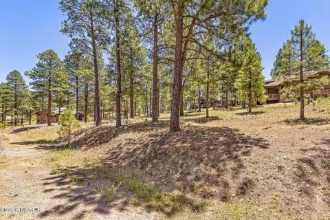 1939 E Bare Oak Loop #238, Flagstaff, AZ 86005 photo 7