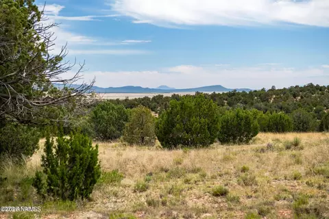 000 Pine Ridge Trail Rd # -B, Seligman, AZ 86337
