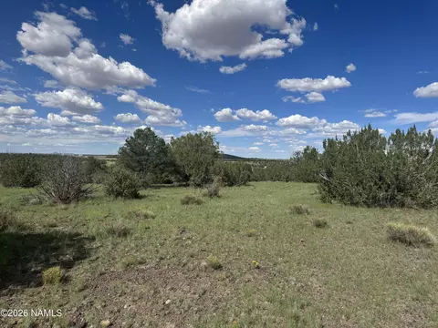 14556 Howard Mesa Loop, Williams, AZ 86046 photo 8