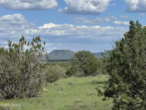 14556 Howard Mesa Loop, Williams, AZ 86046 photo 5