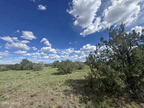 14556 Howard Mesa Loop, Williams, AZ 86046 photo 12