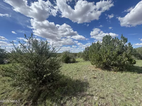 14556 Howard Mesa Loop, Williams, AZ 86046 photo 7