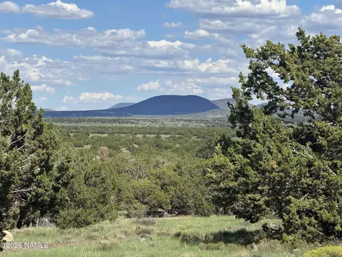 14556 Howard Mesa Loop, Williams, AZ 86046 photo 3